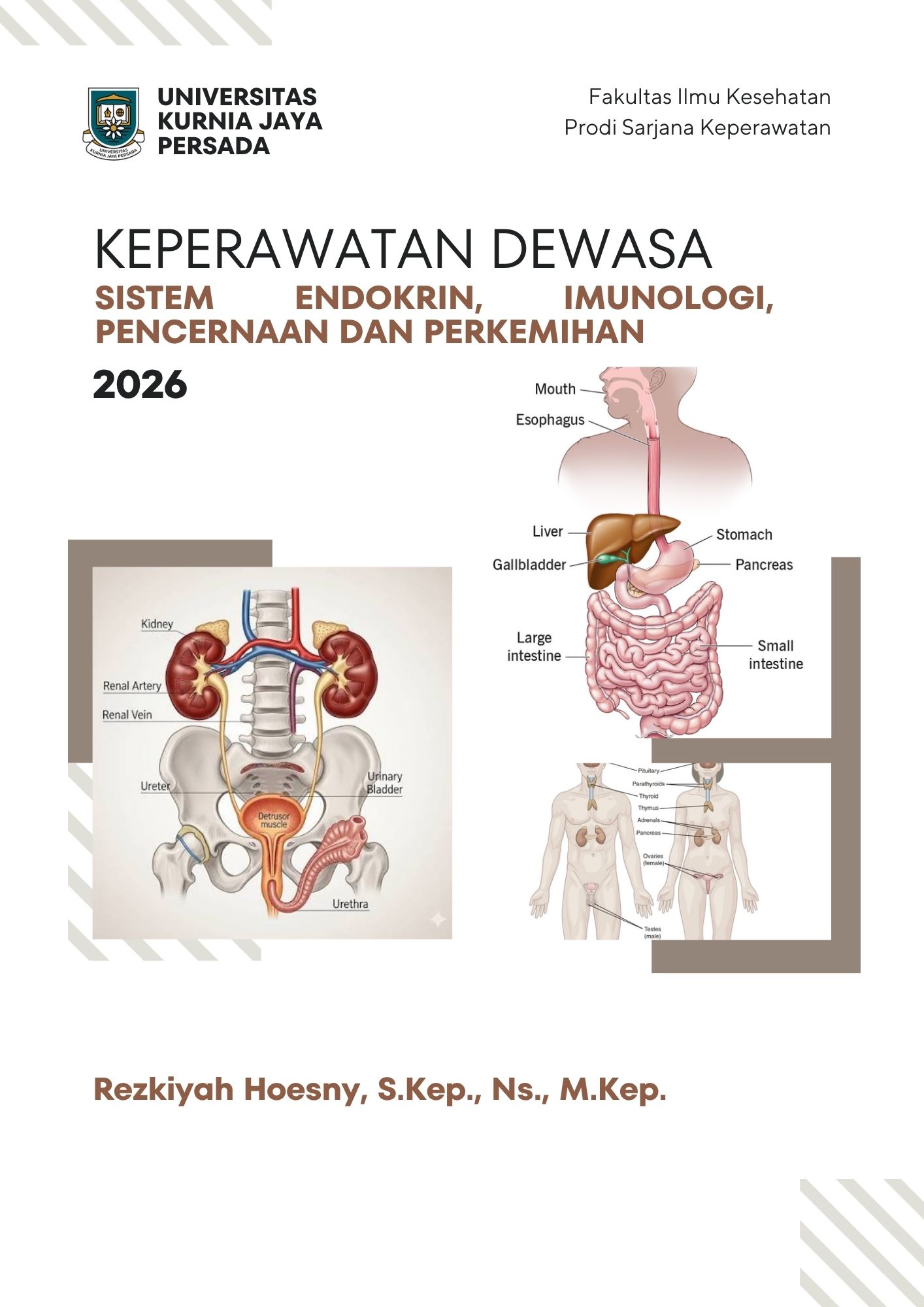 KEPERAWATAN DEWASA SISTEM ENDOKRIN, IMUNOLOGI, PENCERNAAN, DAN PERKEMIHAN 