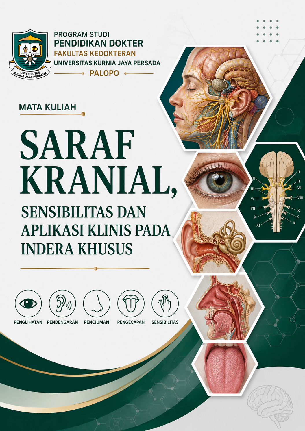 Saraf Kranial, sensibilitas dan Aplikasi Klinis pada Indera Khusus